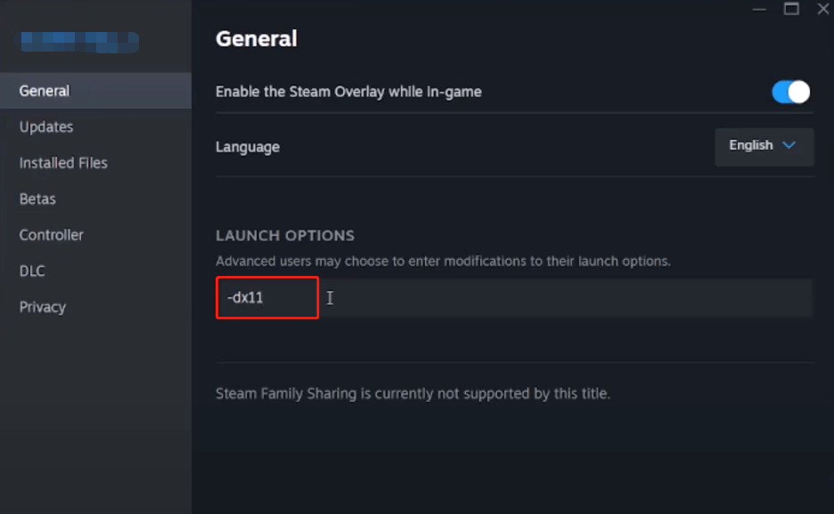 switch launch options in Steam