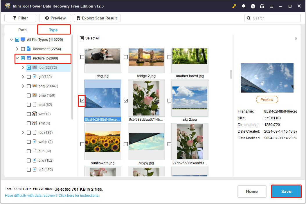 in MiniTool Power Data Recovery, save the pictures from the Picture section under Type