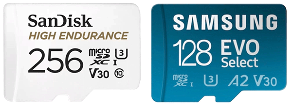 SanDisk High Endurance microSD Card and Samsung EVO Select microSD