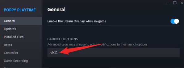 type -dx11 in the Launch Options