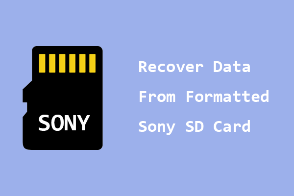 Tech-Savvy Ways to Recover Data From Formatted Sony SD Card