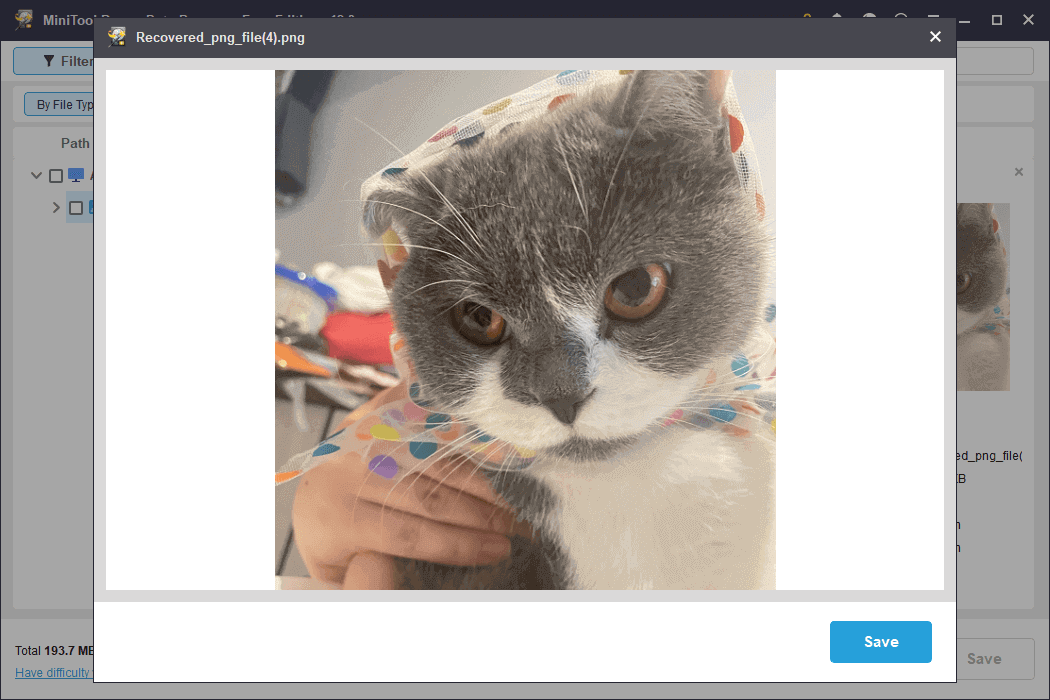 preview the file via MiniTool Power Data Recovery