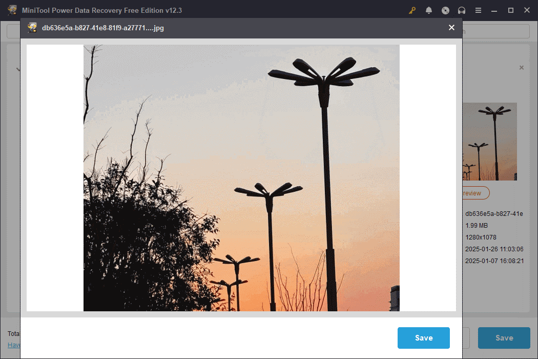 use the Preview feature to check files in the MiniTool Power Data Recovery