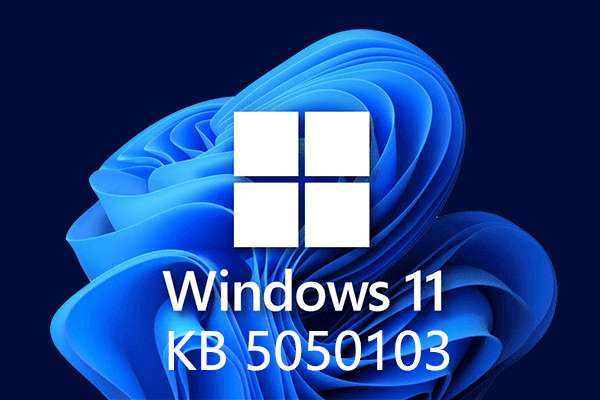 Microsoft Released Windows 11 KB5050103 – Information You Want