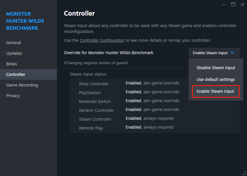 select Enable Steam Input