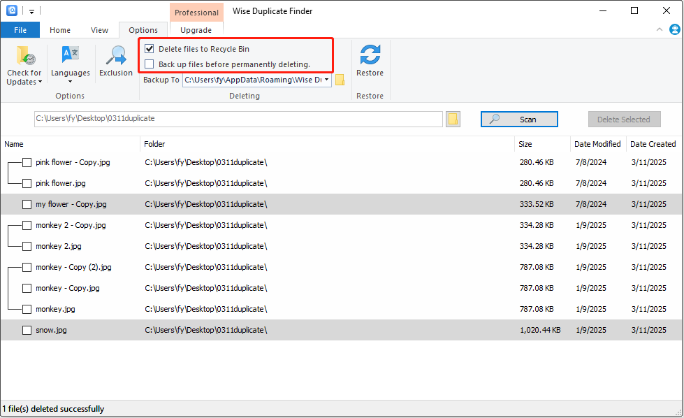 the two data deletion or backup options in Wise Duplicate Finder