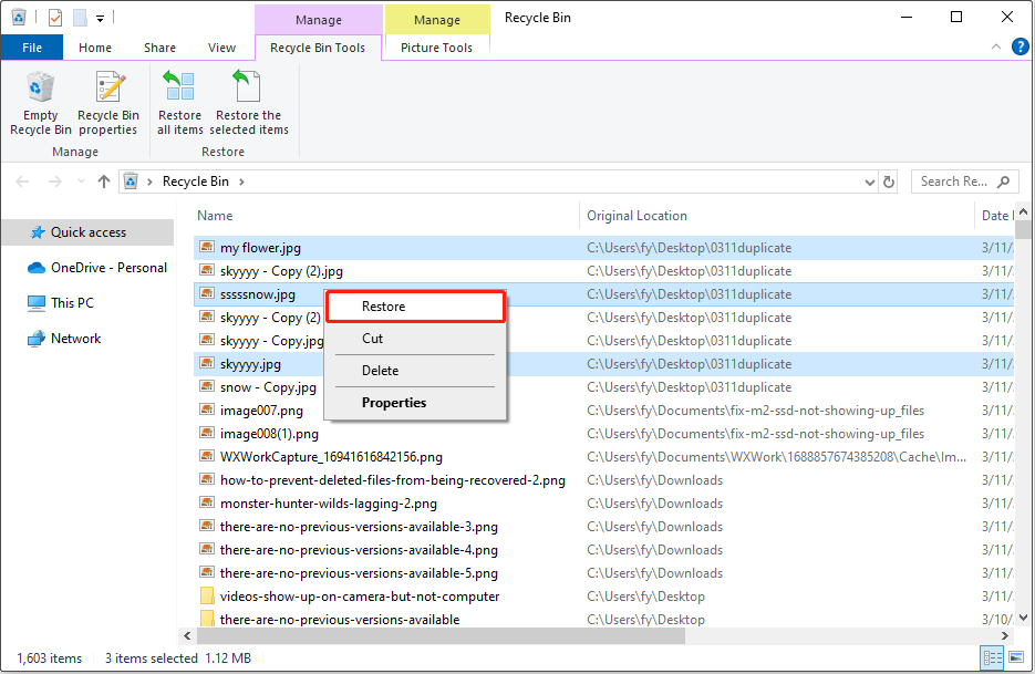 restore the deleted files from the Recycle Bin