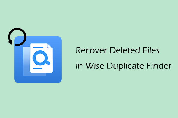 Discover How to Recover Deleted Files in Wise Duplicate Finder