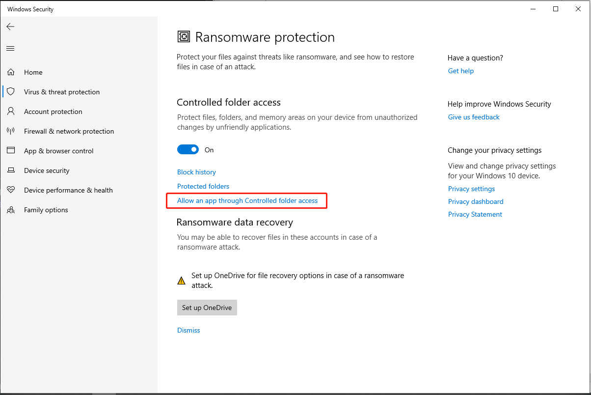 choose Allow an app through Controlled folder access