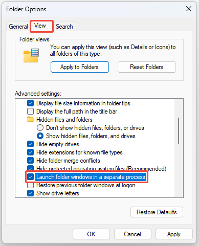 check Launch folder windows in a separate process