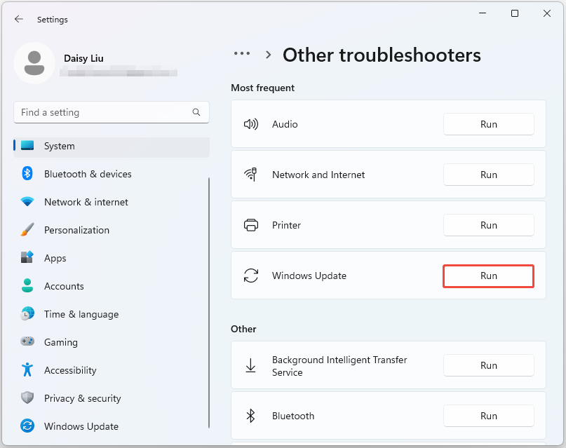 click Run next to the Windows Update section