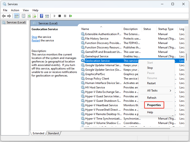 find Geolocation Service