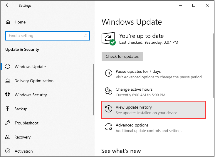 haga clic en ver historial de actualización