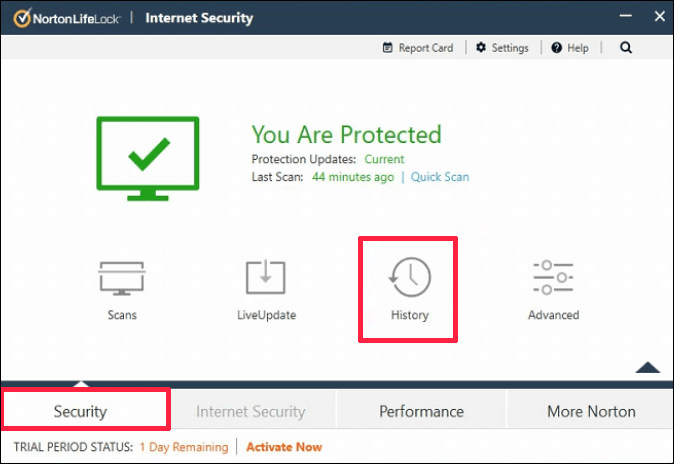 go to the Security tab and click History
