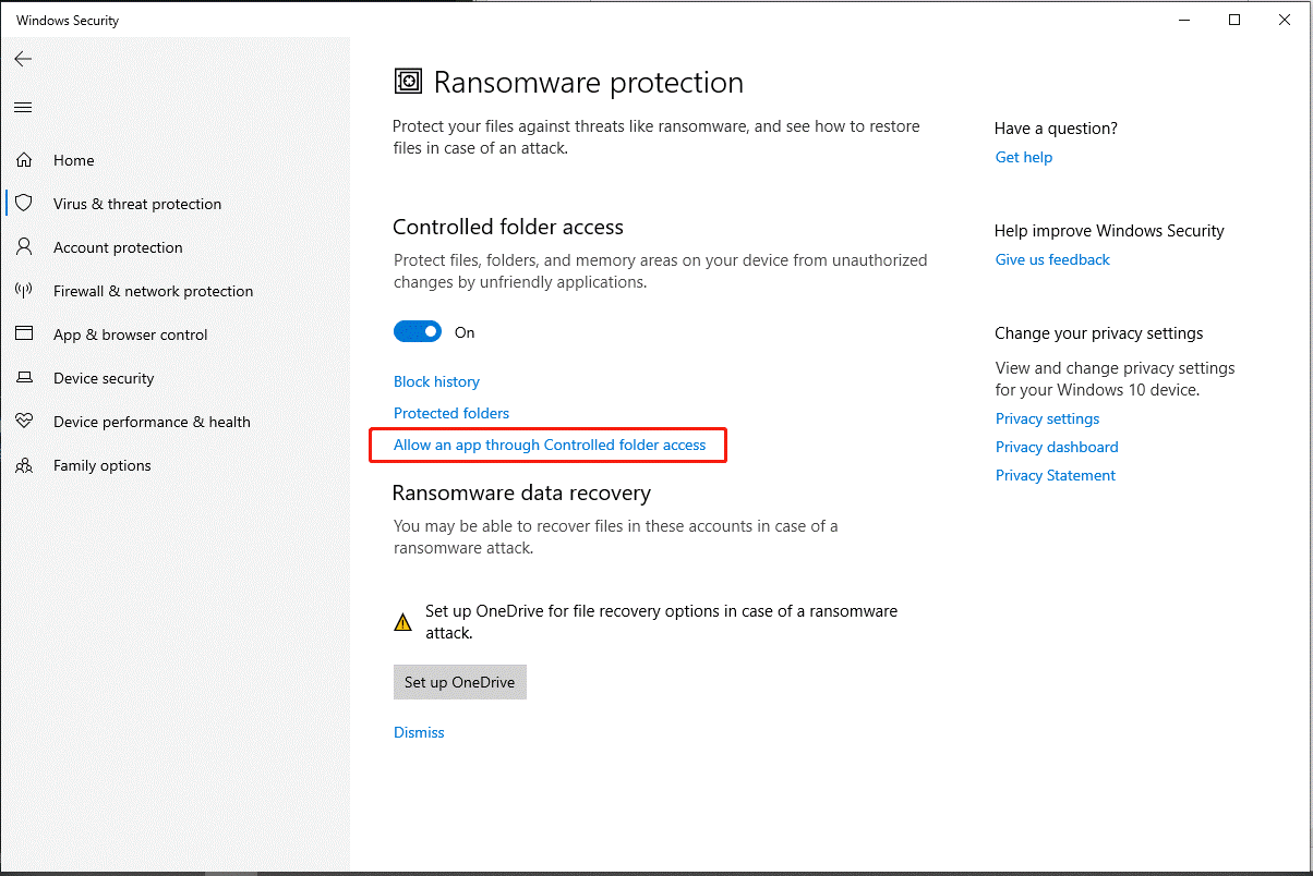 choose Allow an app through Controlled folder access