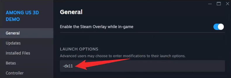 type -dx11 in the Launch Options section