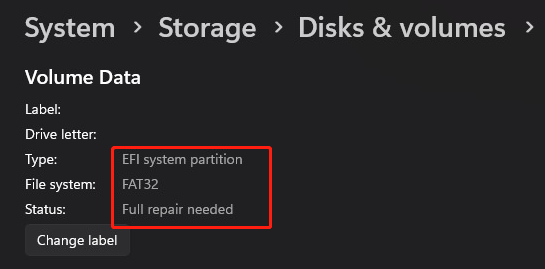 EFI system partition FAT32 full repair needed