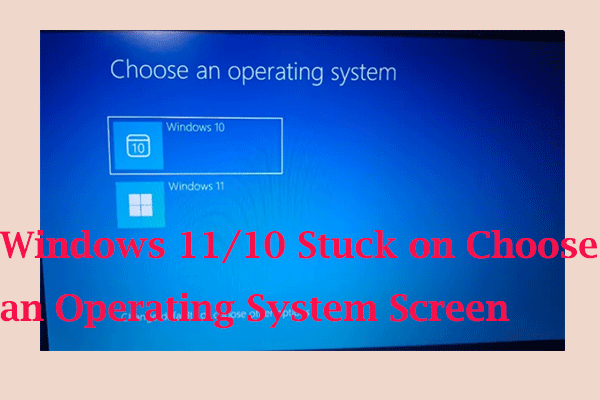 Fixes on Windows 11/10 Stuck on Choose an Operating System