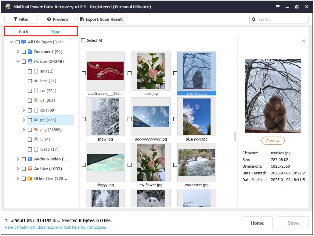 view files by path or type in MiniTool Power Data Recovery