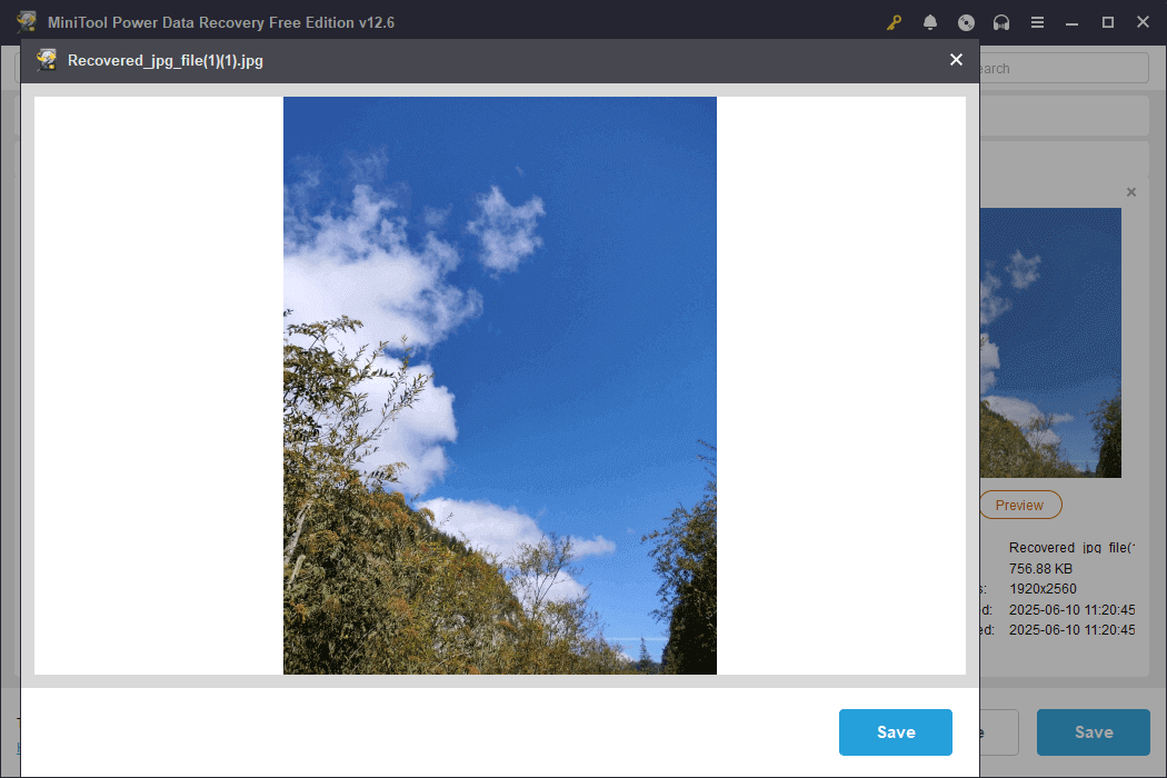 preview the file in MiniTool Power Data Recovery