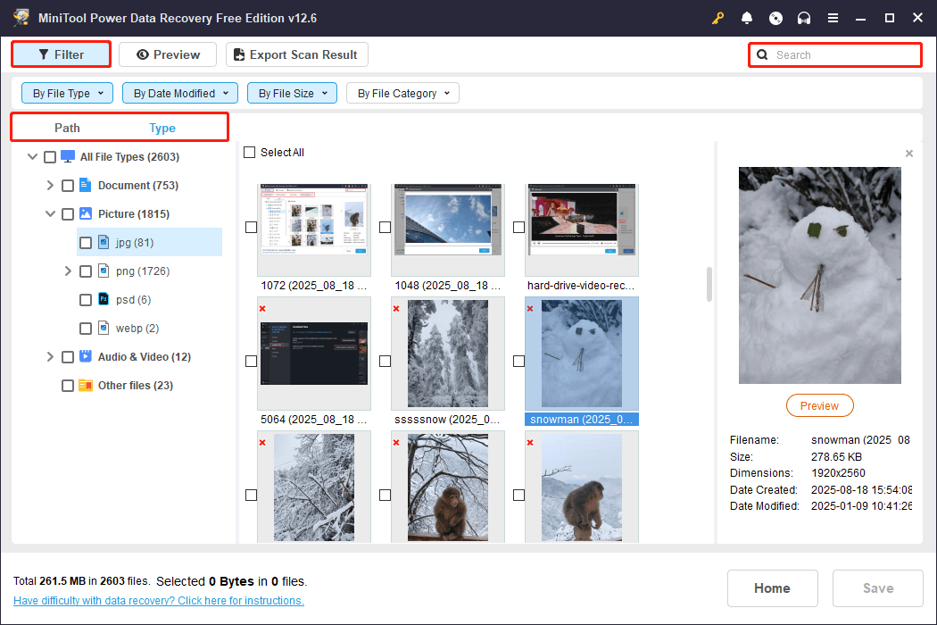 Path, Type, Filter, and Search features in MiniTool Power Data Recovery