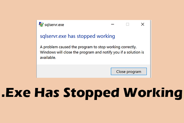 How to Fix .Exe Has Stopped Working on Windows 10/11?