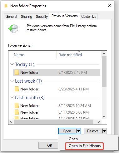 select Open in File History
