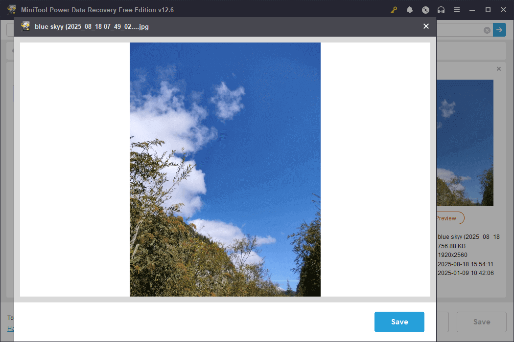 preview files in the scan results of MiniTool Power Data Recovery