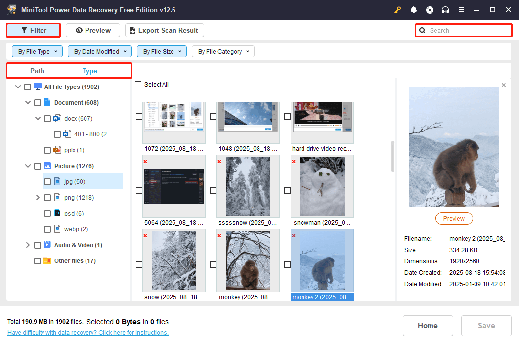 Path, Type, Filter, and Search features in MiniTool Power Data Recovery