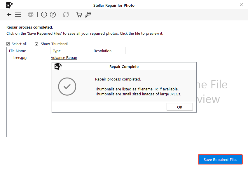 click Save Repair Files in Stellar Repair for Photo