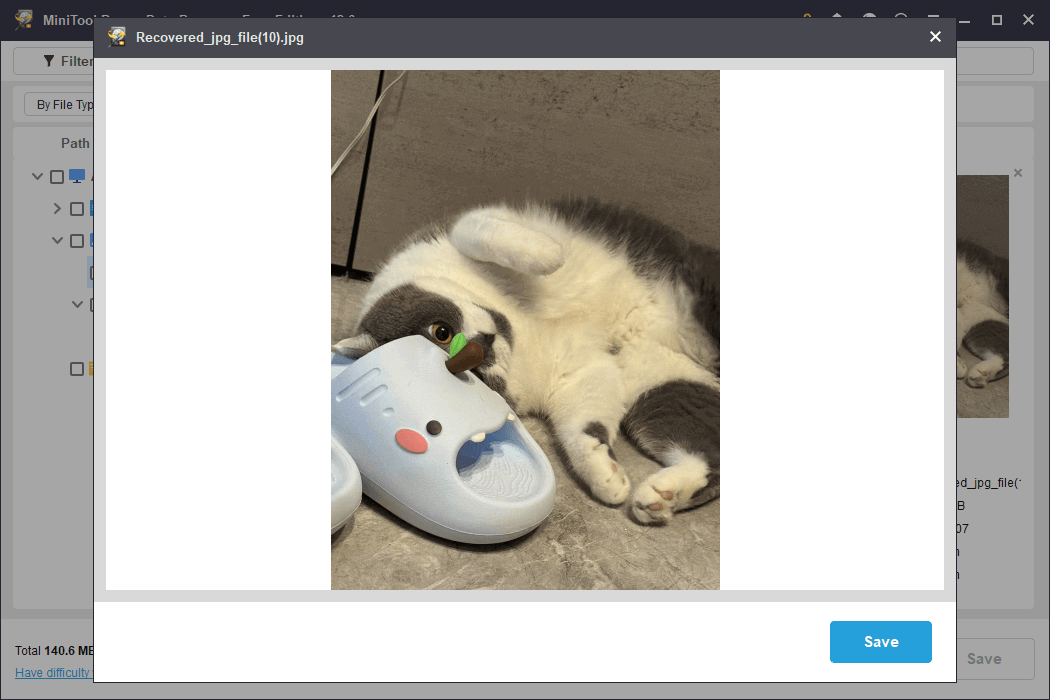 preview the file through MiniTool Power Data Recovery