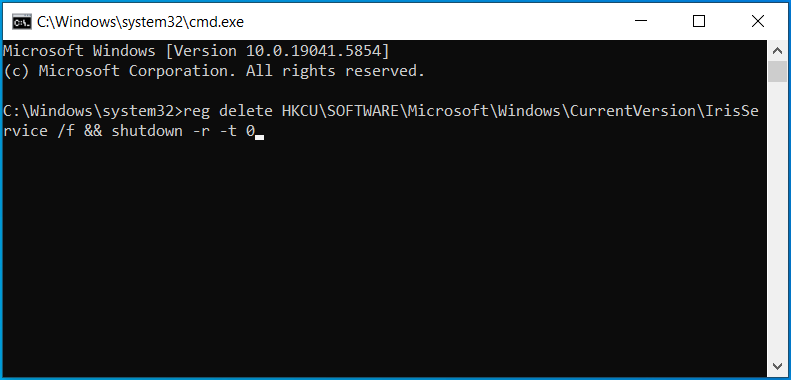 delete Iris service in Command Prompt