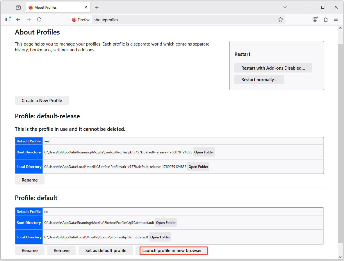 click Launch profile in new browser