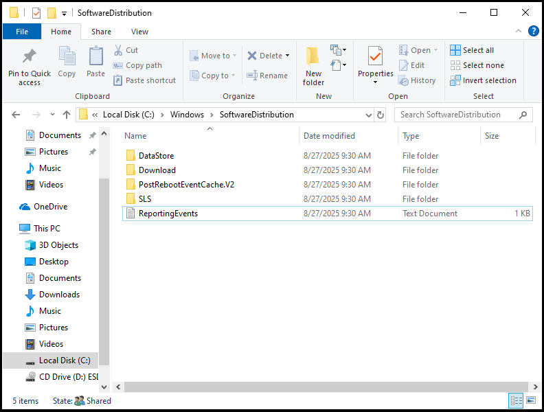 delete SoftwareDistribution folder