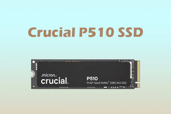 Crucial P510 SSD Overview: A Full Guide on Its Specs and Others