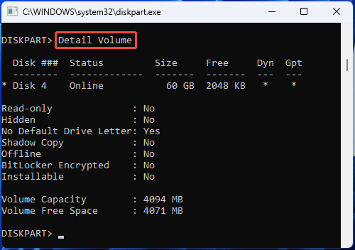 screenshot showing DiskPart Detail Volume command