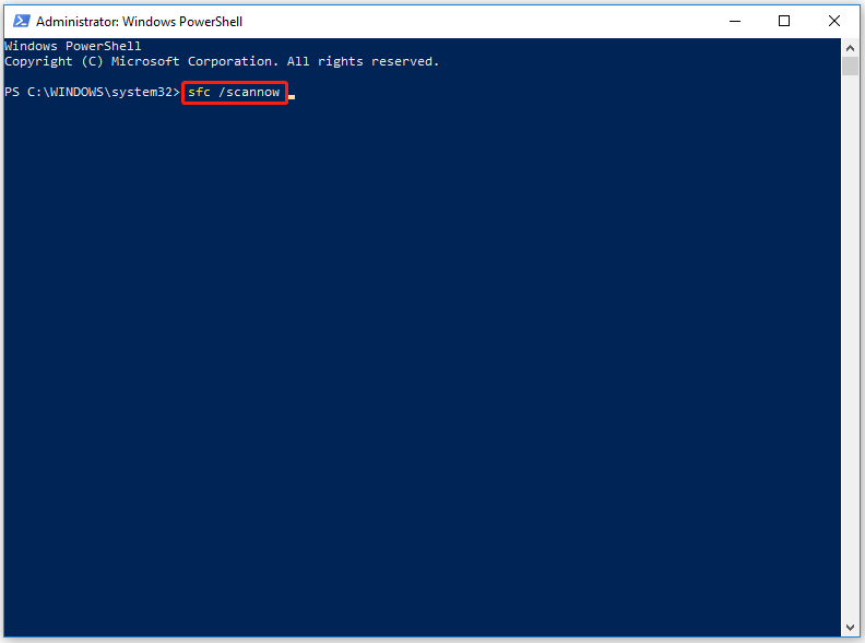 digitare il comando nella finestra di Windows PowerShell