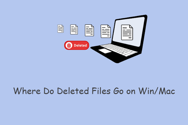 Where Do Deleted Files Go on Win/Mac? A Detailed Guide