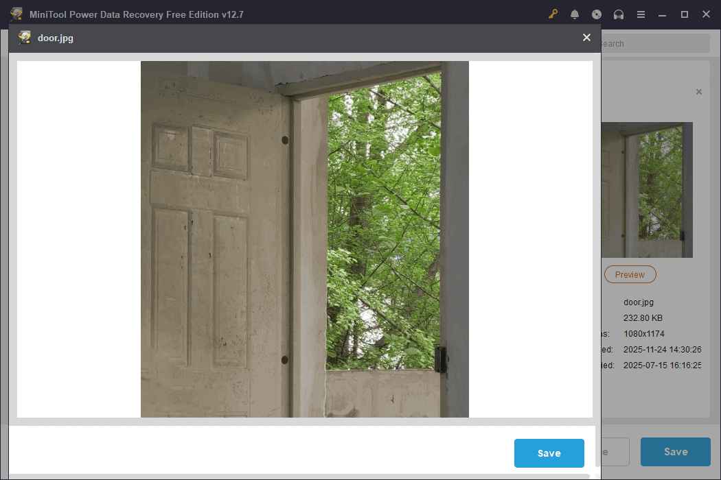 A photo of lush green leaves outside the door is displayed in the preview window of MiniTool Power Data Recovery.