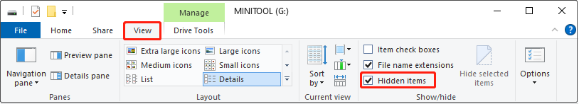 The File Explorer interface with the Hidden items checked under the View tab to show the hidden files.