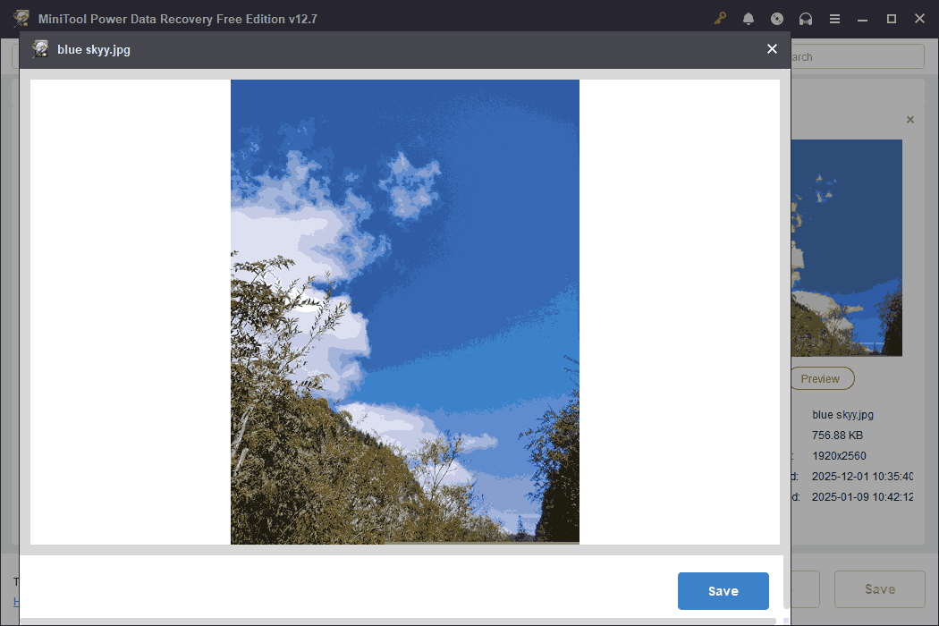 An image with blue sky and green tree previewed in the MiniTool Power Data Recovery interface.