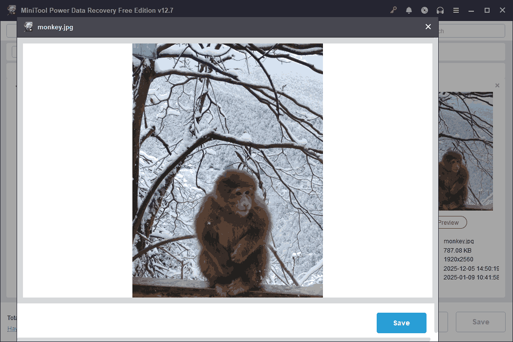 A preview box showing a monkey perched on a snow-covered branch embedded in the MiniTool Power Data Recovery interface.