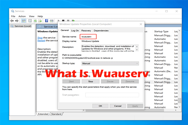 What Is Wuauserv and How to Fix Wuauserv High CPU Issue?