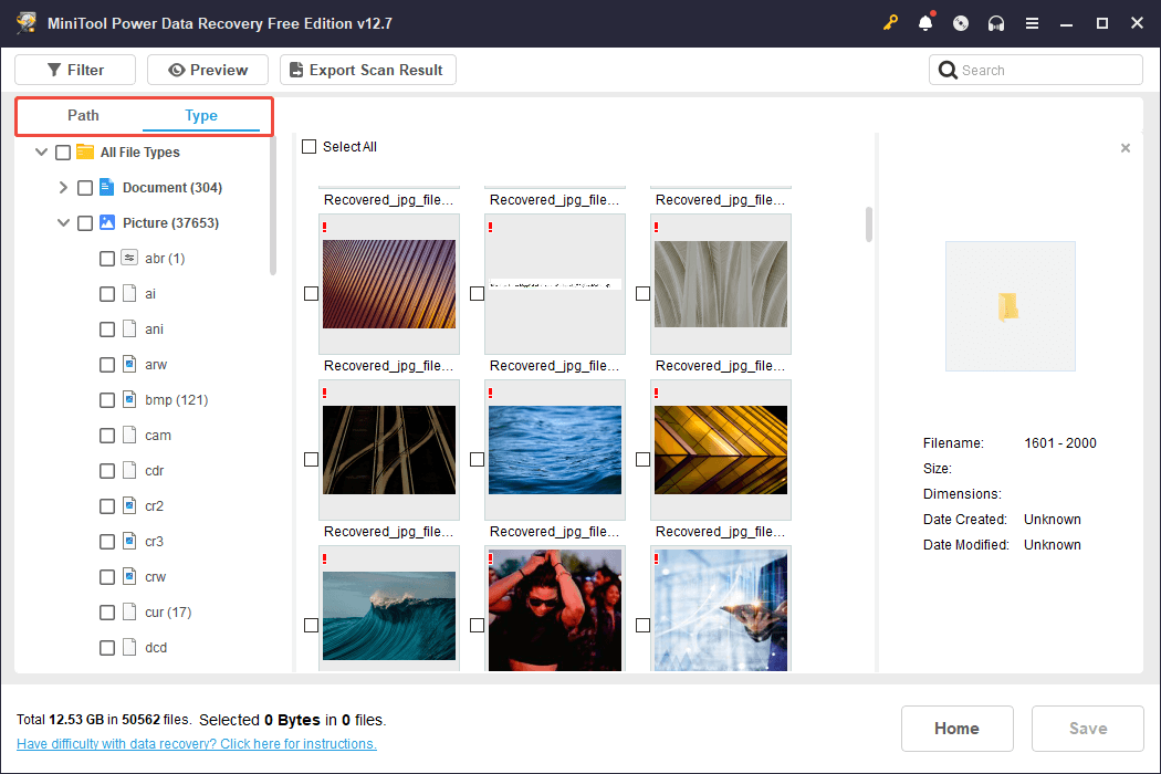 MiniTool Power Data Recovery interface showing the Picture file type under the Type tab, with Path and Type selected.