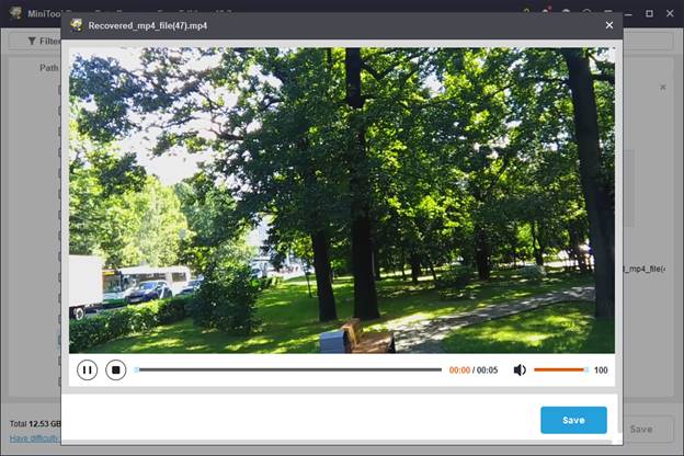 MiniTool Power Data Recovery preview interface displaying an MP4 video of a park for file verification.