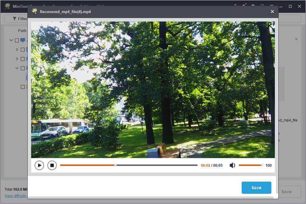 The preview interface in MiniTool Power Data Recovery showing a green park video for file verification.