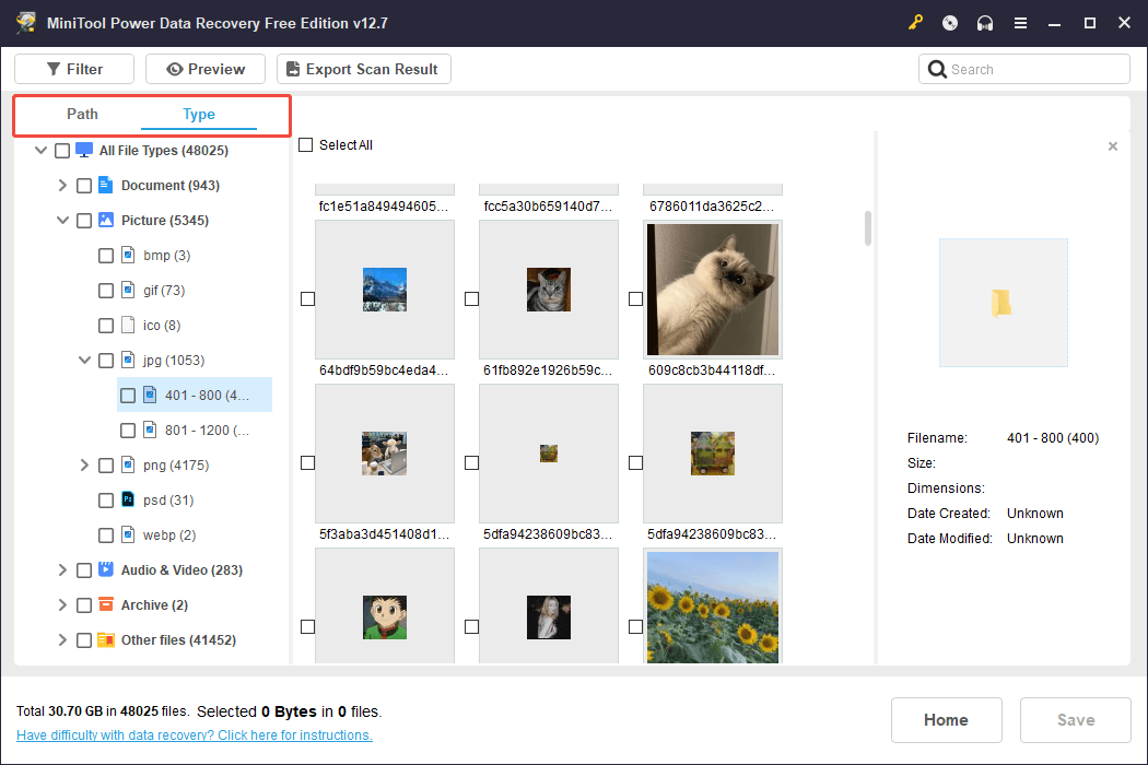 The Type interface in MiniTool Power Data Recovery showing the pictures of the JPG file format, with Path and Type selected.