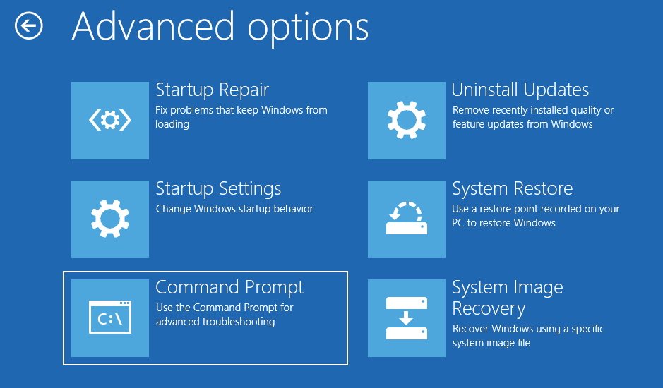 Advanced options in WinRE.