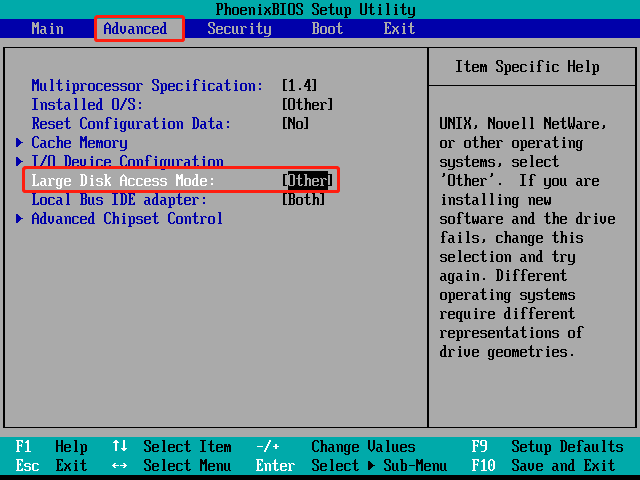The BIOS interface with the Large Disk Access Mode option selected, displaying Other next to it.