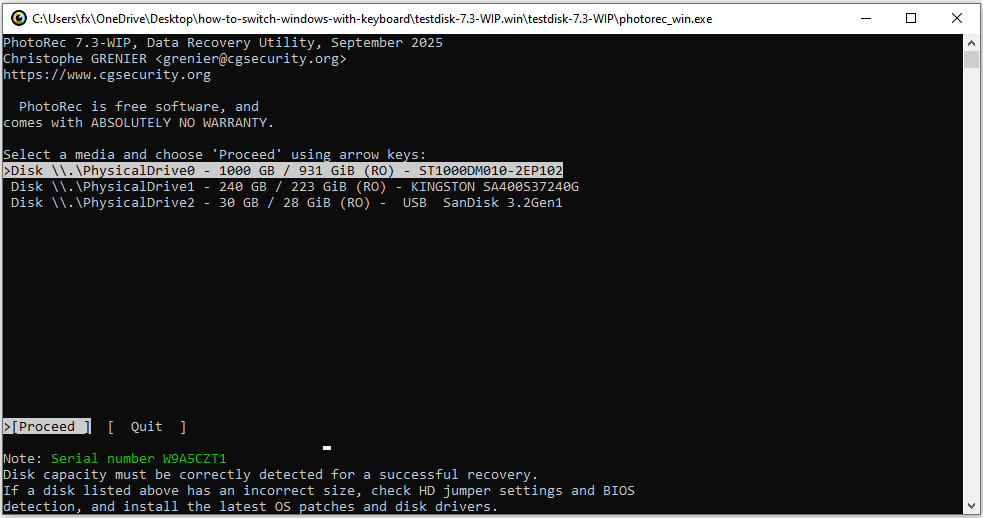 The PhotoRec window displaying the detected disk information in the Command Prompt interface.